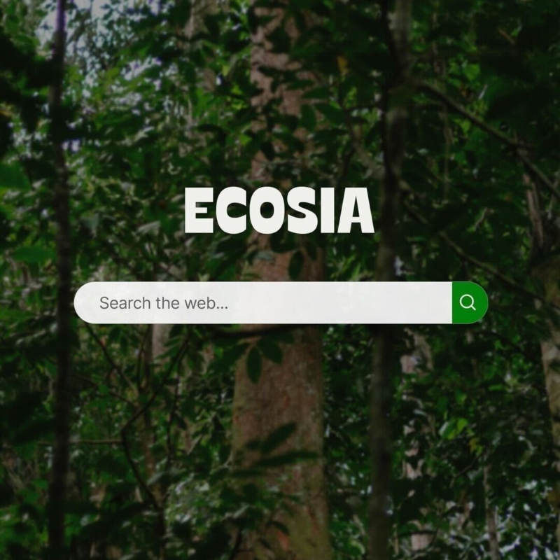 background photo of lush green trees, with the text 